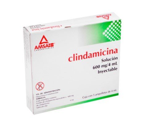CLINDAMICINA 600 C/ 5AMP 4 ML